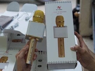 Mic YS11