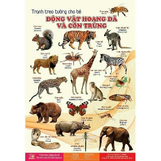 Bộ tranh treo tường về thế giới xung quanh 14 chủ đề cho bé tặng kèm miếng dán