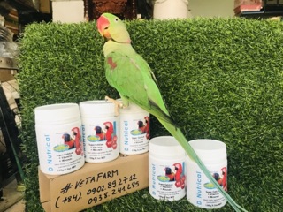 D’ Nutrical gói lẻ 20gr