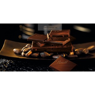 Socola Lindt Excellence các vị thanh 100g