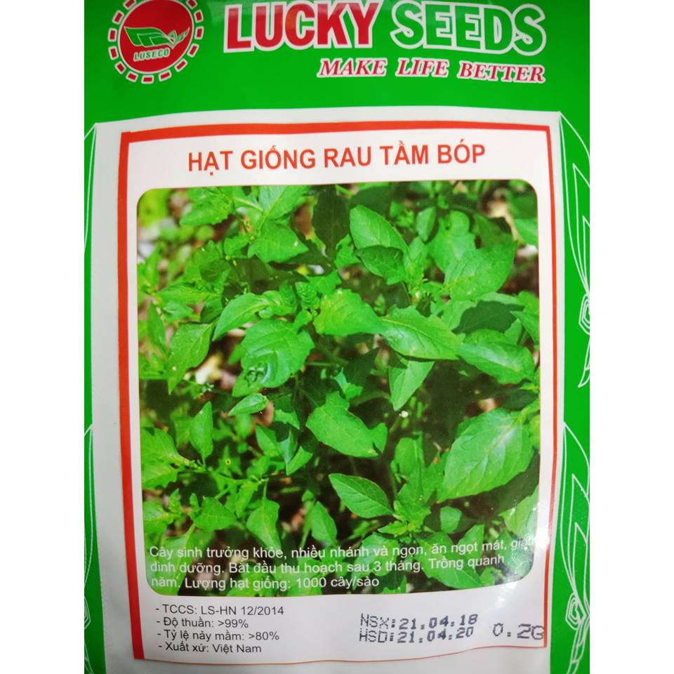 Hạt giống rau tầm bóp vị thuốc quý Việt Nam
