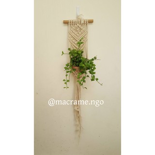 Dây treo chậu cây macrame, giỏ treo cây macrame Rẻ Đẹp