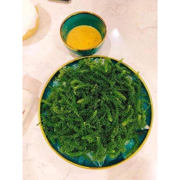 Rong Nho Tách Nước YUKIBUDO Organic Và Rong Nho KHÁNH HÒA, Loại 25g/ túi | BigBuy360 - bigbuy360.vn