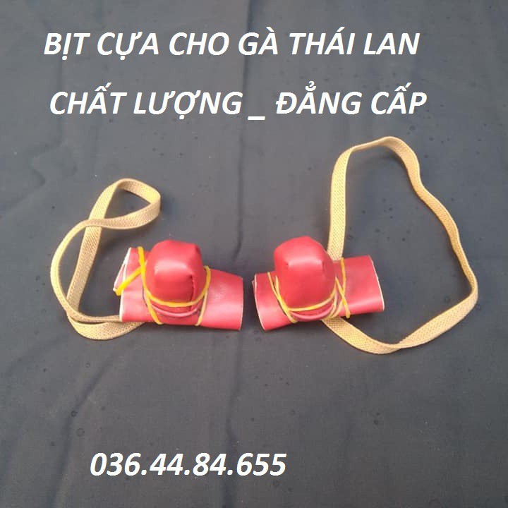 BỊT CỰA CHO GÀ CHỌI _ BỊT CỰA THÁI LAN