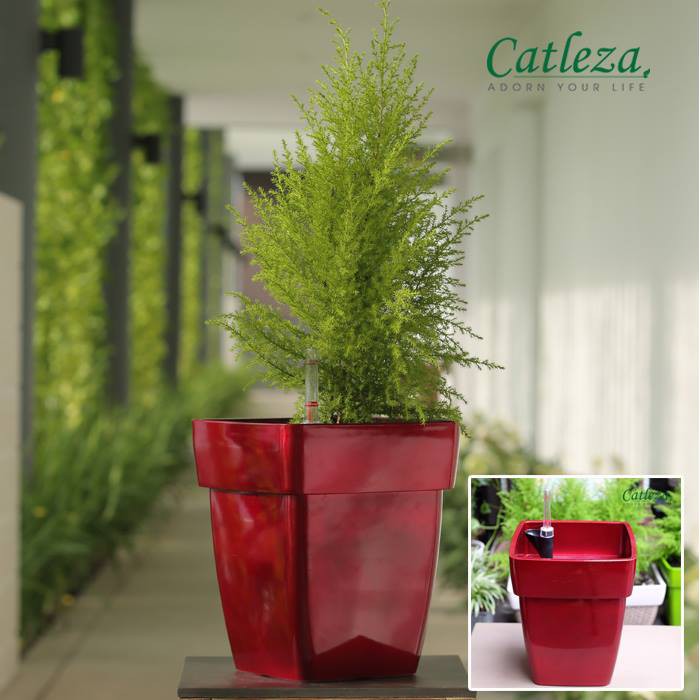 Chậu Nhựa Trồng Cây Thông Minh CATLEZA Sơn Vuông Có Ống Thăm Dò Mực Nước 32x32x40 cm