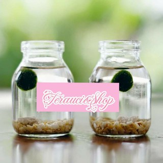 Tảo cầu marimo Nhật Bản