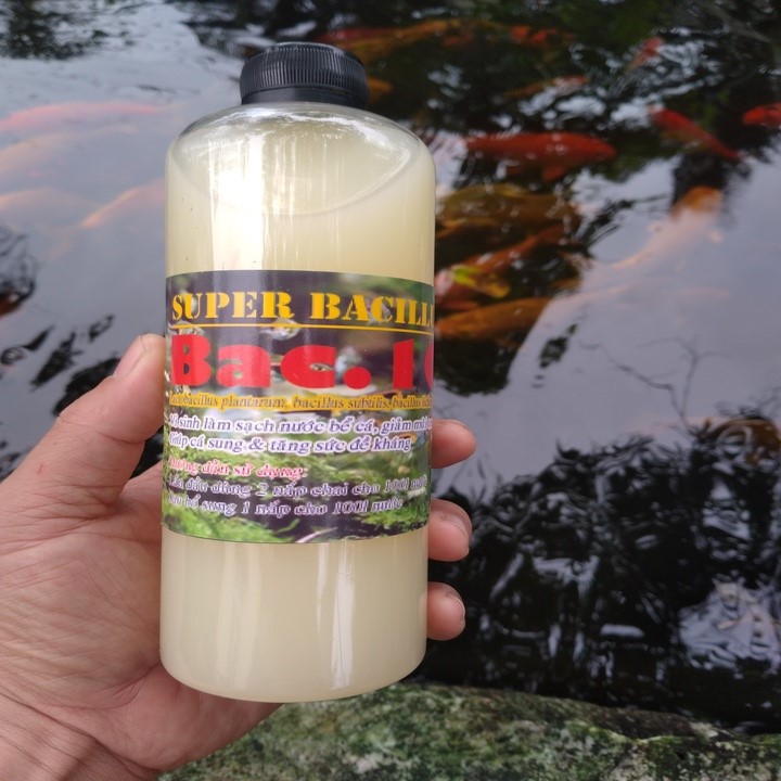 vi sinh hồ cá super bacillus 500ml