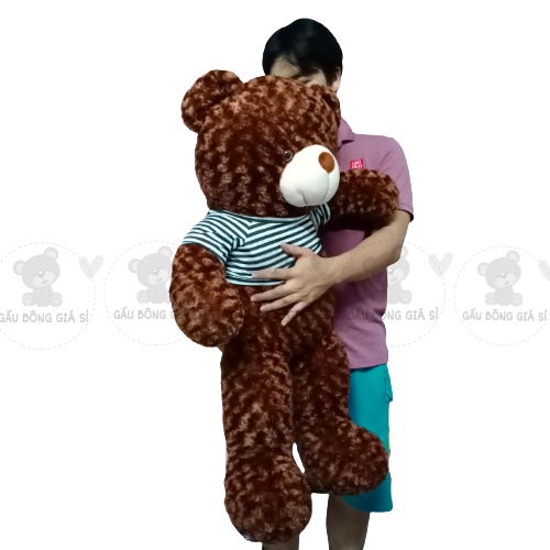 GẤU BÔNG TEDDY (80cm) THÚ NHỒI BÔNG TEDDY CAO CẤP GIÁ RẺ