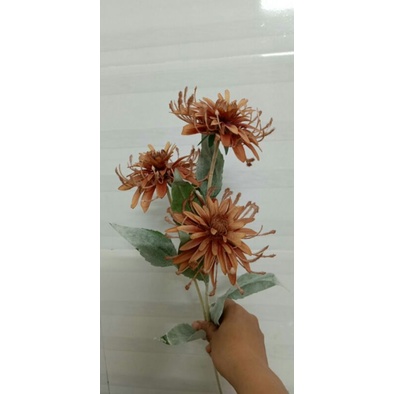 Hoa Bỉ Ngạn hàng tàu loại 1 thân mốc Hoa Giả Trang Trí Decor