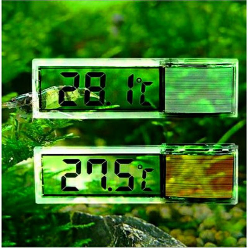 Nhiệt Kế Thủy Sinh 3D Cho Hồ Thủy Sinh 3D- Milo Guppy