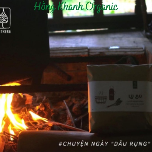 Lá Cải Ngâm Mông Lú Bú (Vietherb) Chăm Sóc Cô bé - An Toàn Theo Dân Gian