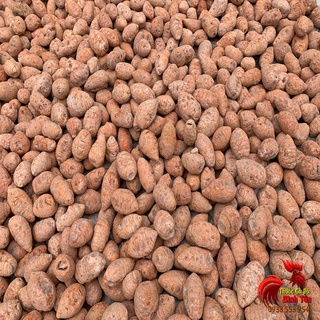 Củ Nghệ Đỏ Cho Gà Đá Cao Cấp [Nguyên Chất 100%] - 500gram