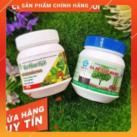 [SIÊU KÝCH THÍCH] BỘT KÝCH RỄ & BỘT RA HOA CHO CÂY CẢNH VÀ CÂY ĂN QUẢ