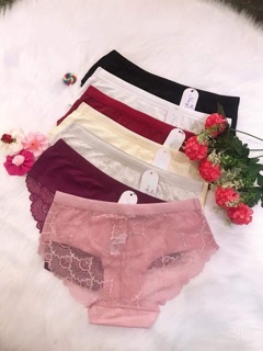 Bán sỉ quần chip cotton pha ren 1483