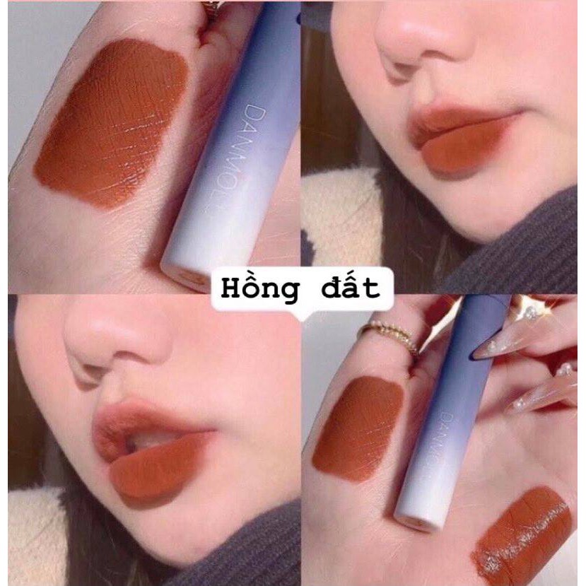 Set 5 cây son lì Danmolu nội địa Trung tone màu nude, nâu đỏ, cam đất đẹp | BigBuy360 - bigbuy360.vn