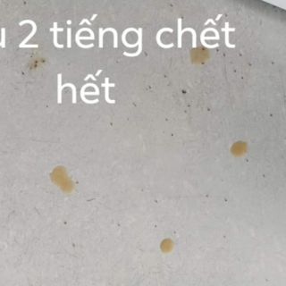 Sỉ Thuốc sinh học trị kiến gián- đặc sánh không hiệu quả hoàn tiền