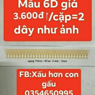 Khuôn chuẩn làm mi quạt 3D 6D 8D