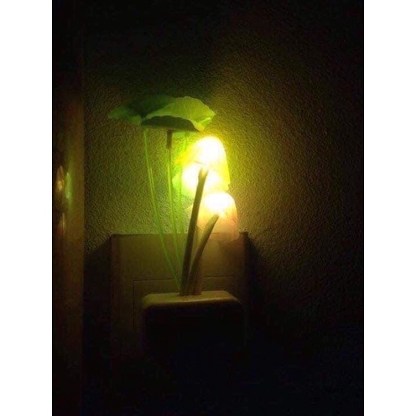 Đèn ngủ cảm ứng hình nấm cute nhiều màu