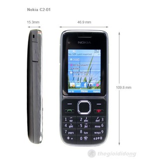 Điện thoại Nokia C2-01