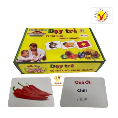 Bộ Thẻ Học Thông Minh Thẻ Học Flashcard 19 Chủ Đề Giúp Bé Nhận Biết Thế Giới Xung Quanh