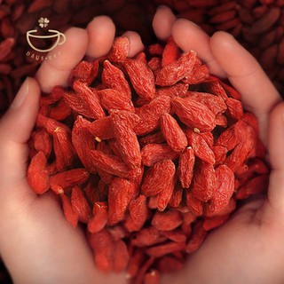 KỶ TỬ NINH HẠ 100g - Đông y chấn hưng long