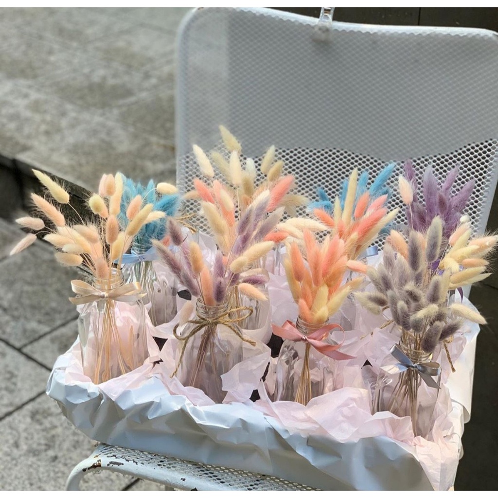 Bó 50 cành Hoa khô CỎ ĐUÔI THỎ nhập khẩu decor, trang trí cửa hàng, nội thất vintages