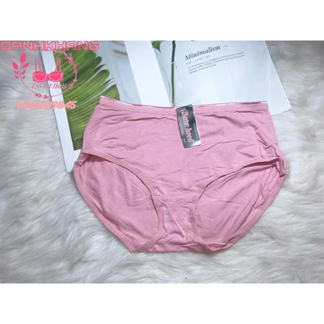 Quần Lót cotton big size Thái Lan Sisterhood thoáng mát mã 5134 - ThaiMarketBRA | BigBuy360 - bigbuy360.vn