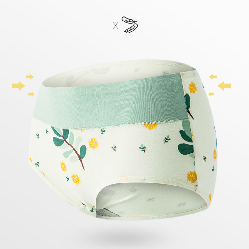 Quần Lót Cotton Không Đường May LEVAO Cạp Cao Họa Tiết Hoạt Hình Dễ Thương Cho Nữ