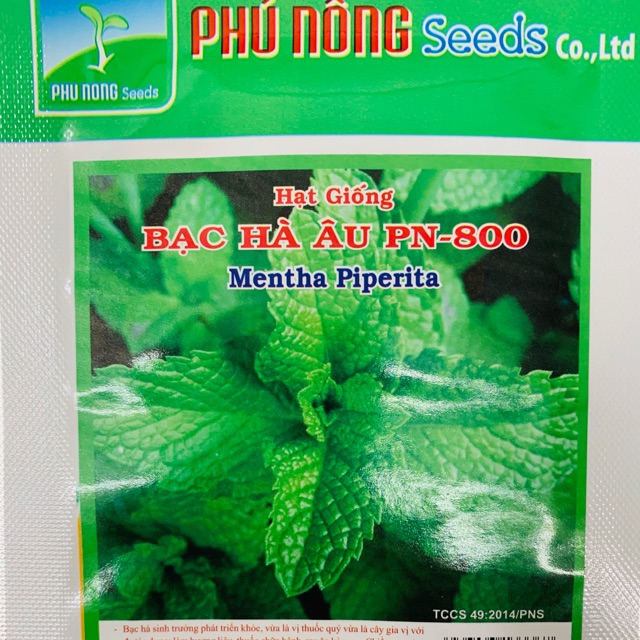 Hạt giống bạc hà