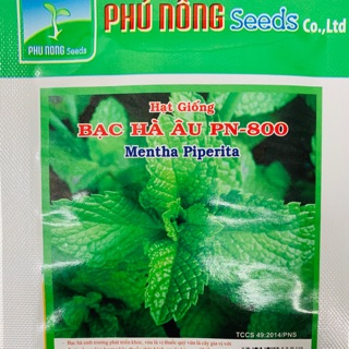 Hạt giống bạc hà