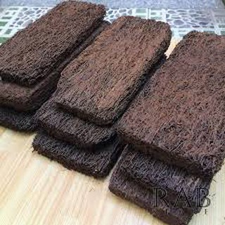 Dớn bảng ngắn trồng lan