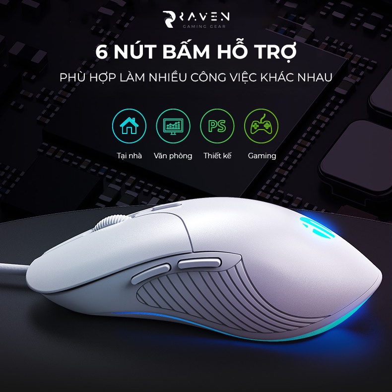 Chuột laptop, máy tính có dây INPHIC PB1P, chuột công thái học silent - Raven Gaming Gear