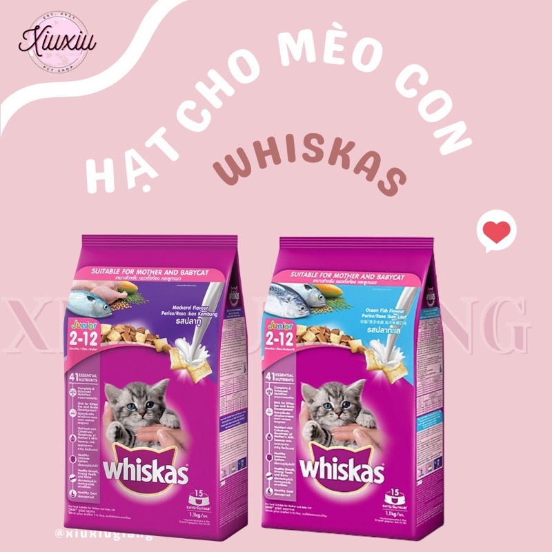 Thức Ăn Hạt Cho Mèo Con Whiskas - Xiuxiu Giang