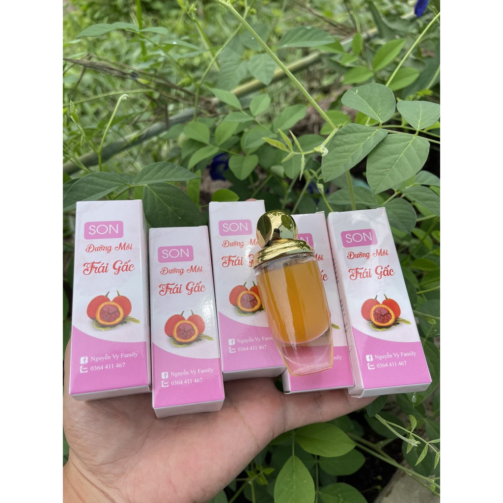 Son Dưỡng Môi Trái Gấc | BigBuy360 - bigbuy360.vn