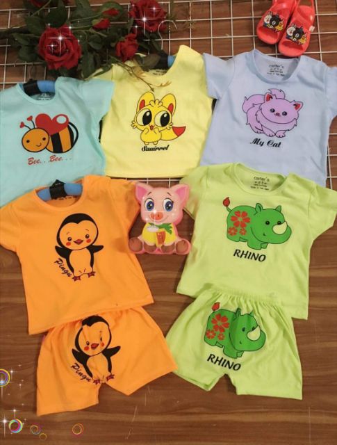 Set 5 bộ carter ngắn tay
