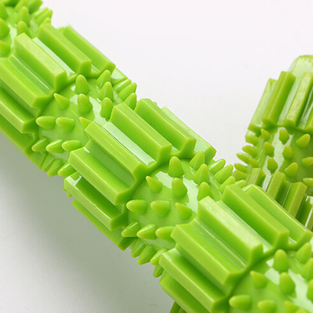 Đồ Chơi Nhai Gặm Bằng Cao Su Cho Thú Cưng