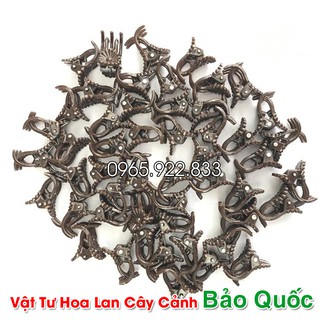 Kẹp Bướm Lan cỡ nhỏ cố định cây lan