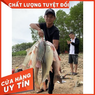 Mồi câu cá lk hòa