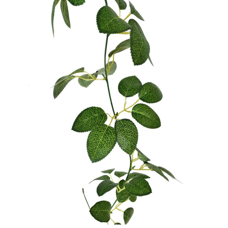 Dây Lá Táo, Dây Lá Olive, Dây Bạch Đàn Decor Trang Trí Sinh Nhật, Sự Kiện, Khai Trương, Phòng Cưới