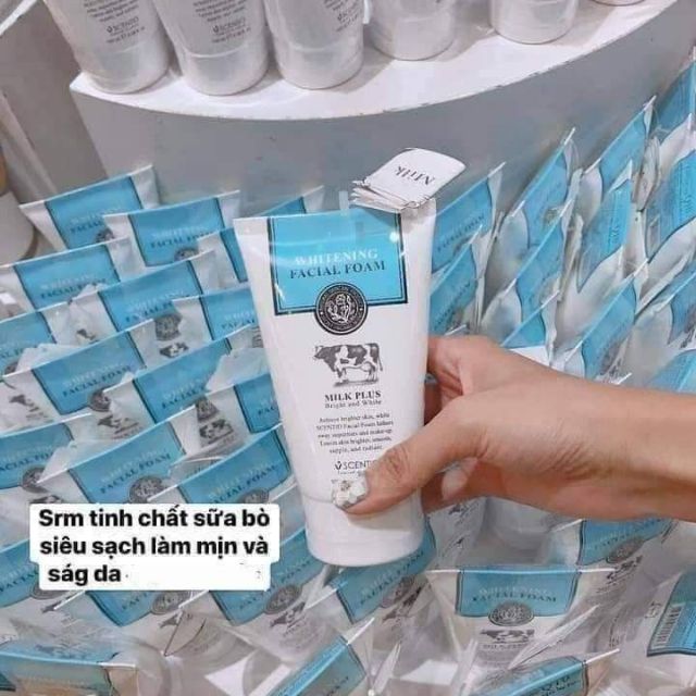 Sửa rửa mặt bò thái