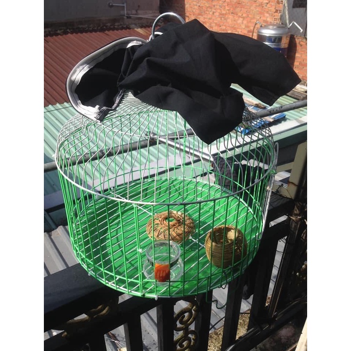 Lồng Chim Cu Gáy size 36cm __ lồng nhúng mủ