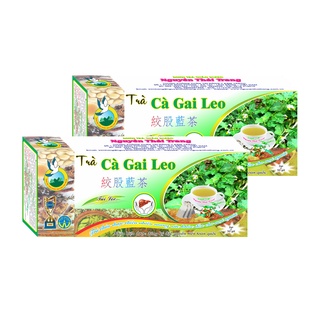 Combo 10 Hộp Trà Cà Gai Leo  (Hộp 50 Túi X 2g)- Nguyên Thái Trang –Thảo Dược Thiên Nhiên