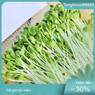 1kg hạt giống làm rau mầm củ cải trắng - hạt to
