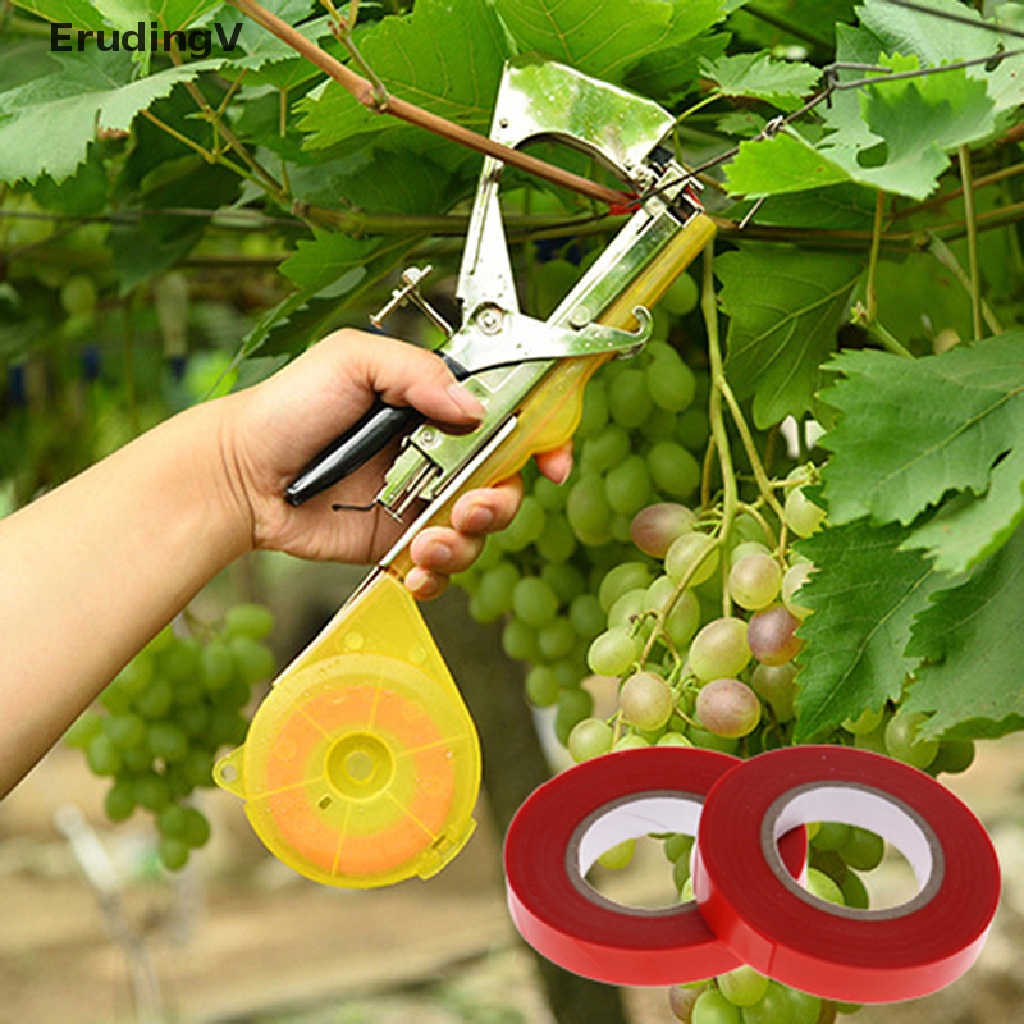 Set 10 Băng Keo PVC Quấn Cành Cây Làm Vườn