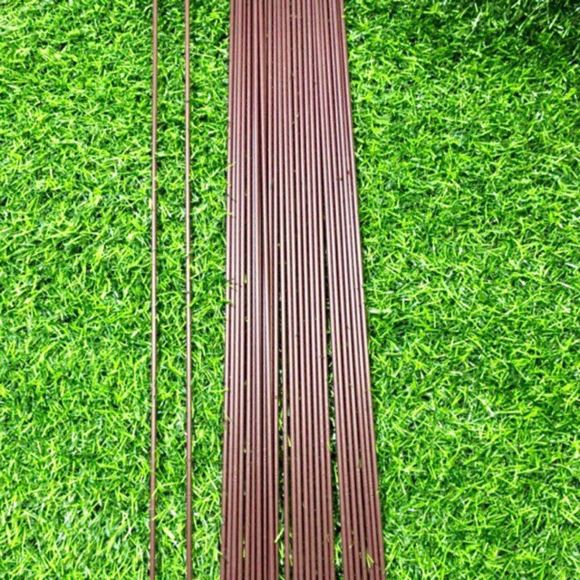 10 que cắm lan hồ điệp nâu dài 1m