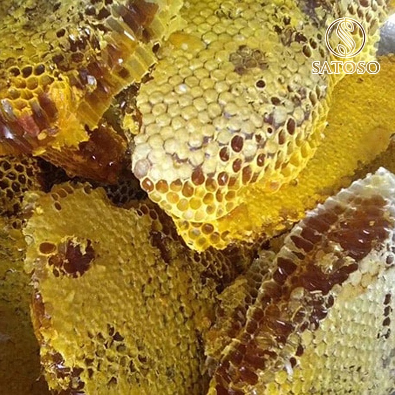 Mật ong khoái rừng thiên nhiên đặc sánh nguyên chất 100% SATOSO SA131