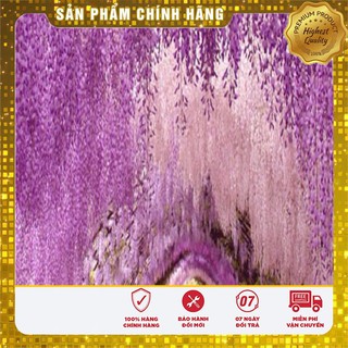 Hạt Giống Hoa Tử Đằng( 3 hạt)