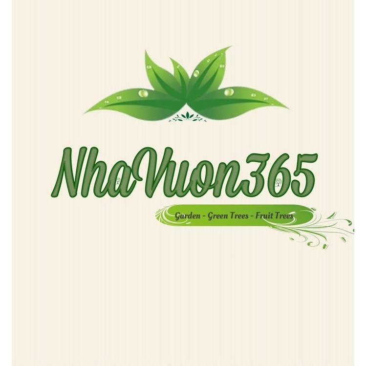 Cây giống Lê vàng