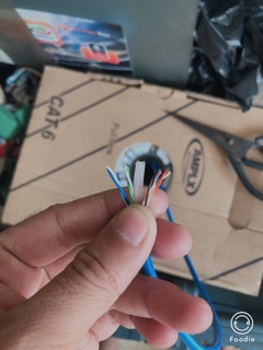 Dây cáp mạng cat6 bấm đầu sẳn