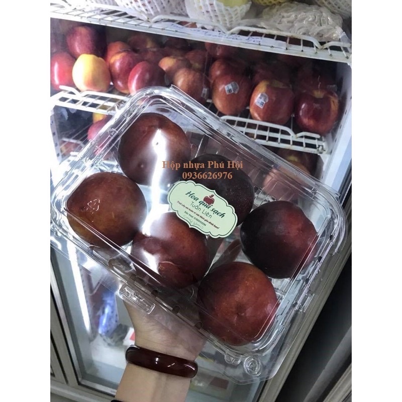 50 hộp nhựa trái cây nho cherrry 1-2kg P1000C 2105